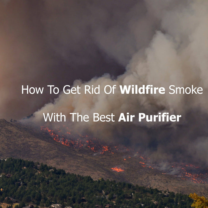 How To Get Rid Of Wildfire Smoke With The Best Air Purifier