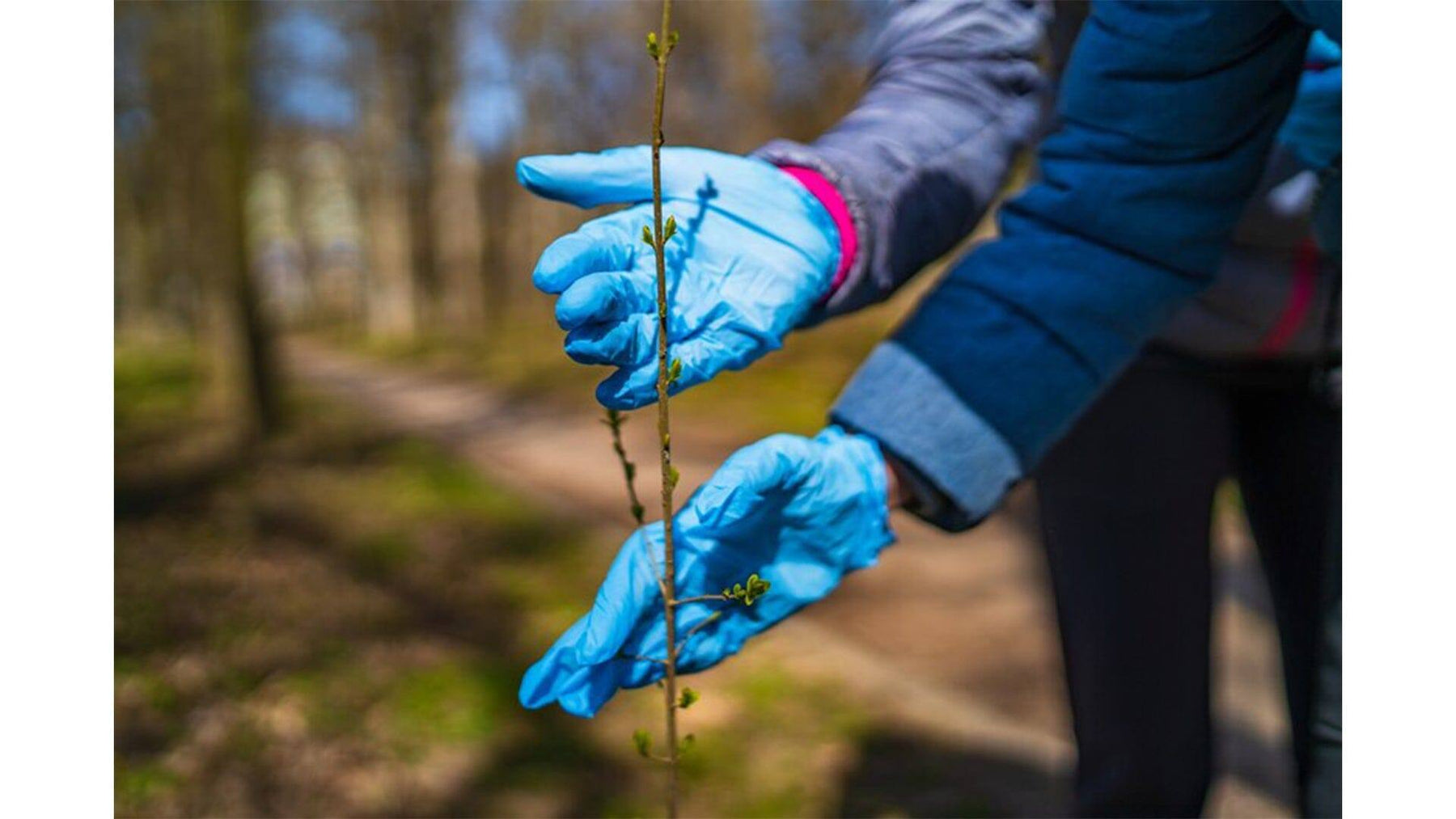 Best Disposable Gloves to Protect Your Hands in The Garden